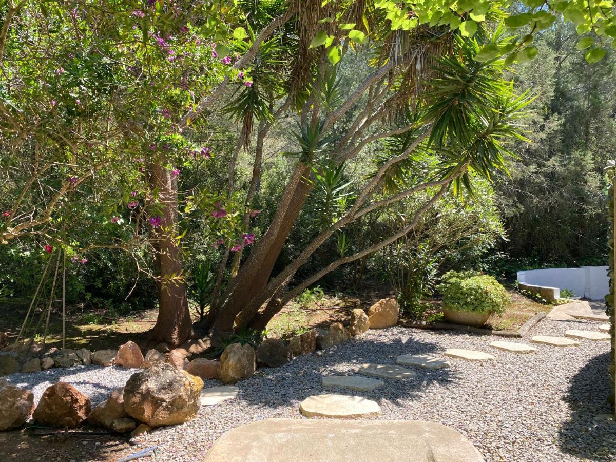 Can Iara Sant Miquel de Balansat Dış mekan fotoğraf