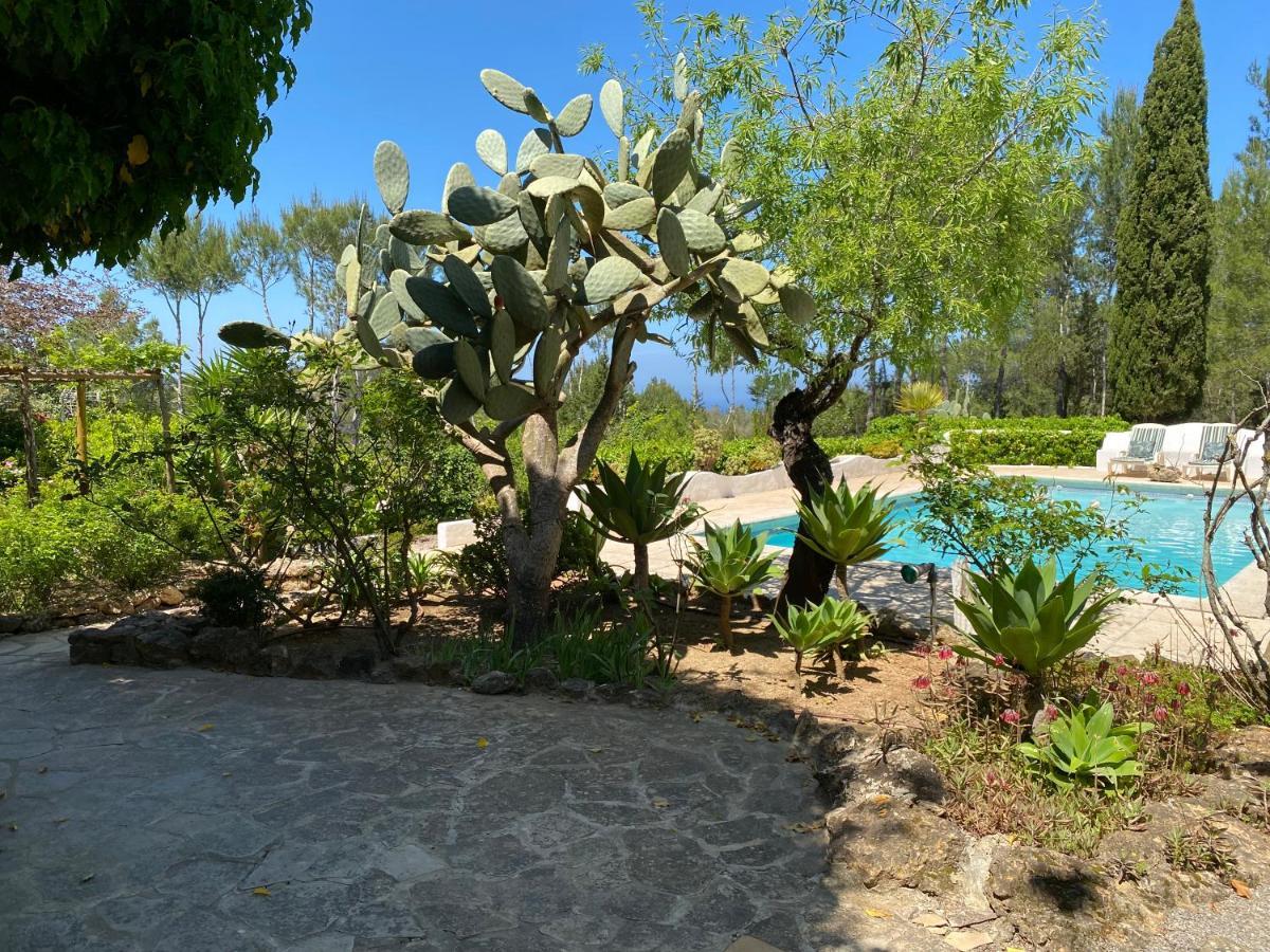 Can Iara Sant Miquel de Balansat Dış mekan fotoğraf