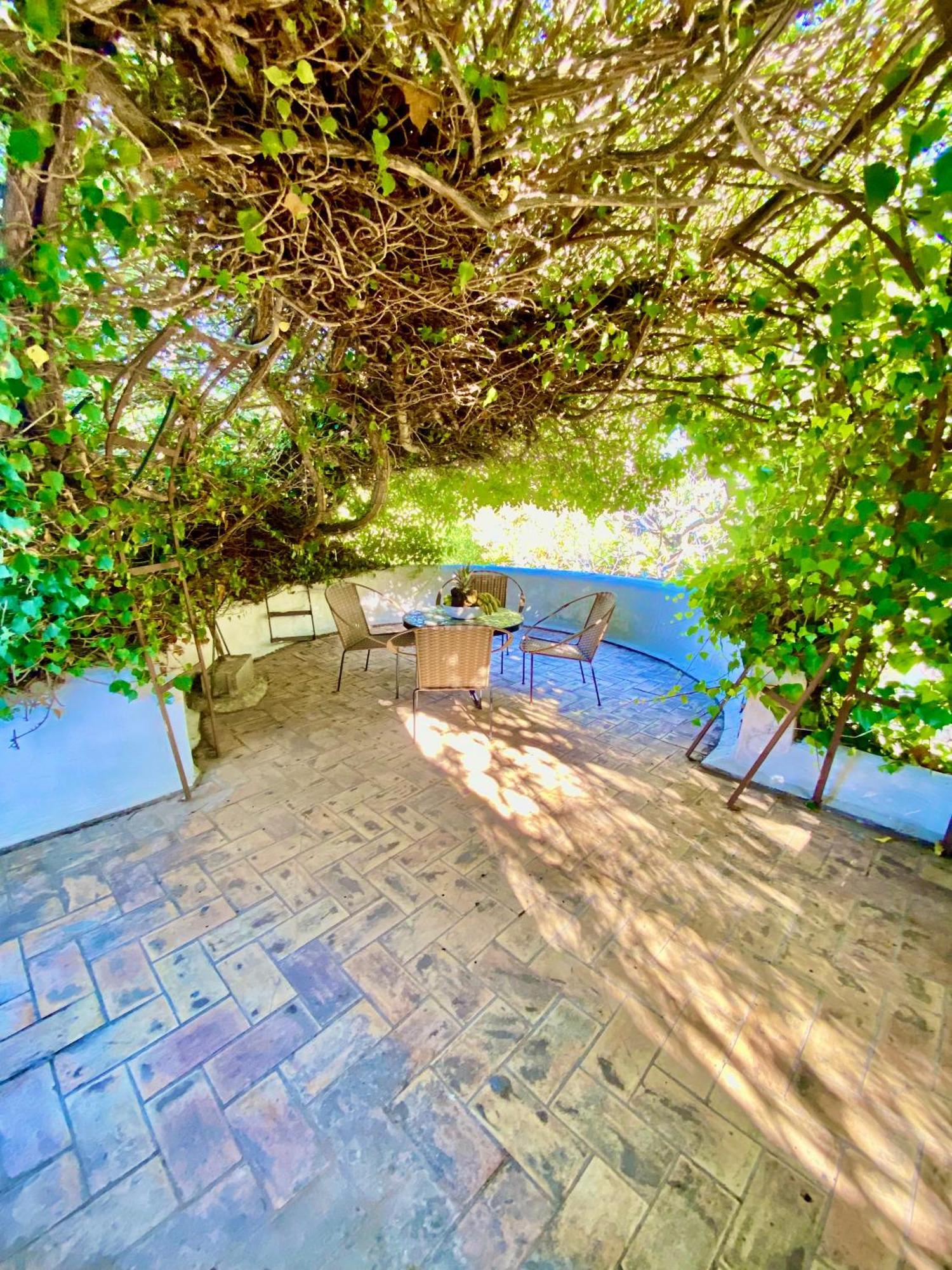Can Iara Sant Miquel de Balansat Dış mekan fotoğraf
